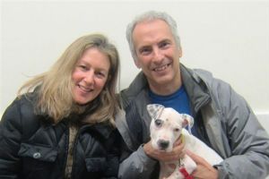 Pamela Harris, Joseph Villari