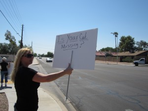 Protest over Mesa cat mutilations, killings