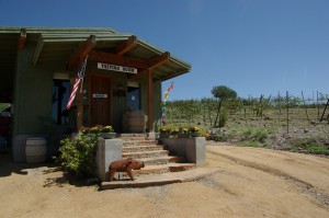 Javalina Leap Winery