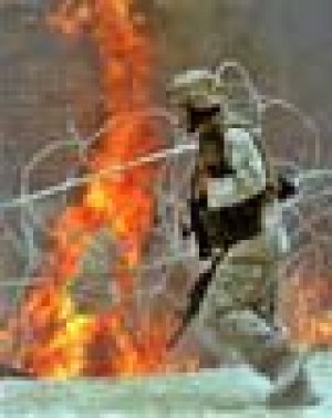 Eight Marines killed in Iraq violence 