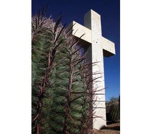 Scottsdale holy war 