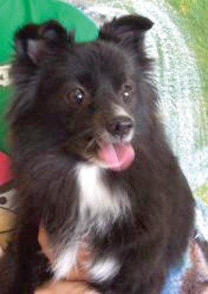 Someone to love: Misty