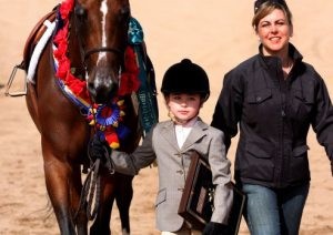Arabian horses