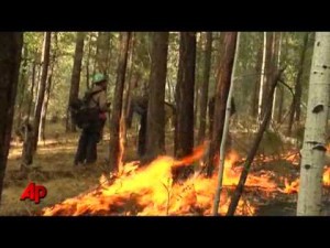 Arizona wildfire heads toward New Mexico