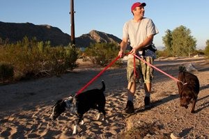 5 years later, San Tan Mountain is really a park 
