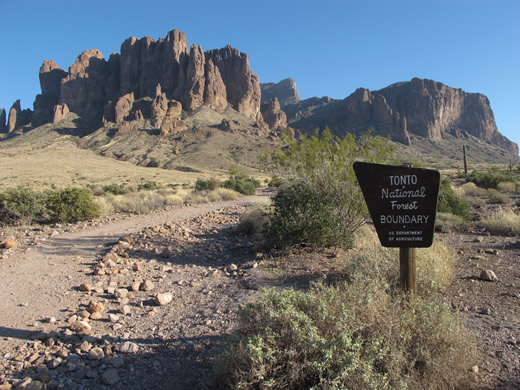 Tonto National Forest