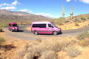 Pink Adventure Tours