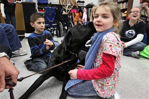 Therapy Dog2