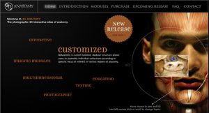 Scottsdale firm's software offers dissection by mouse 