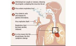 Flu gets an early start 