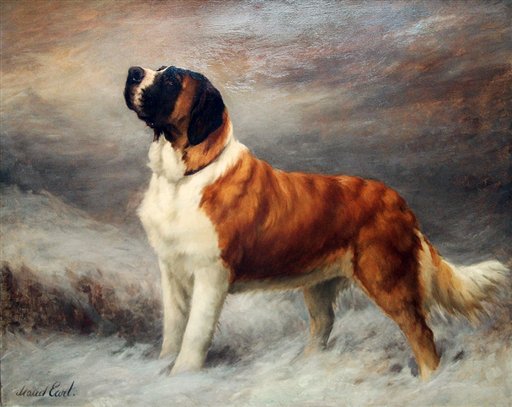 Pets-Top Dog