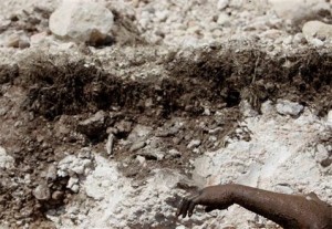 Doctors worried as Haiti's mass graves swell 