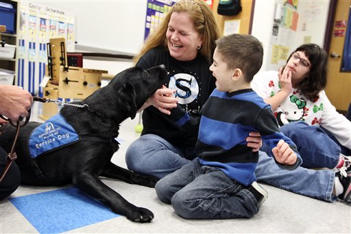 Therapy Dog3