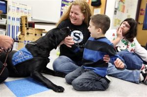 Therapy Dog3