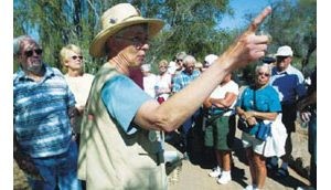 East Valley could gain minus Phoenicians' pain 