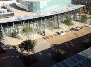 Chandler City Hall