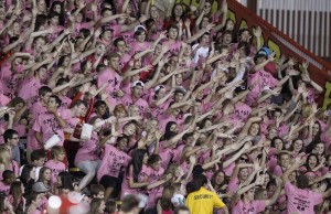 Saguaro at Chaparral