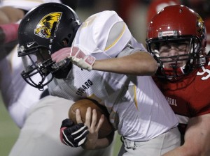 Saguaro at Chaparral