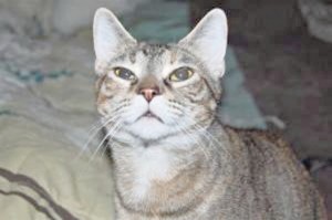 Someone to love: Esme