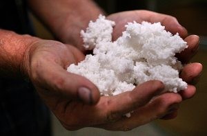 Filter company cleans up environment 