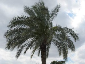 Wind, rain move into Valley