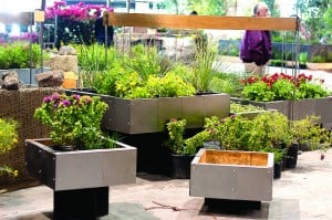 ASU Design Students / Professional Garden Show