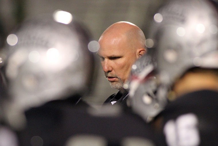 Basha at Hamilton