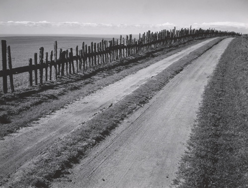 Road and Fence