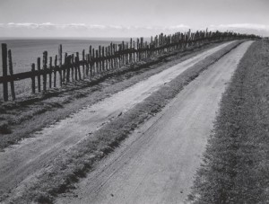 Road and Fence