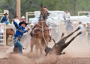 Rodeo