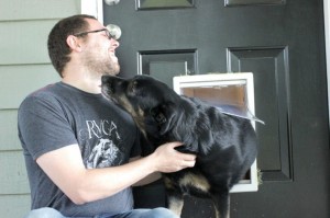 Dog door thefts