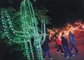 ZooLights will illuminate magical story, page by page 