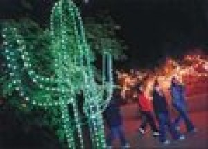 ZooLights will illuminate magical story, page by page 