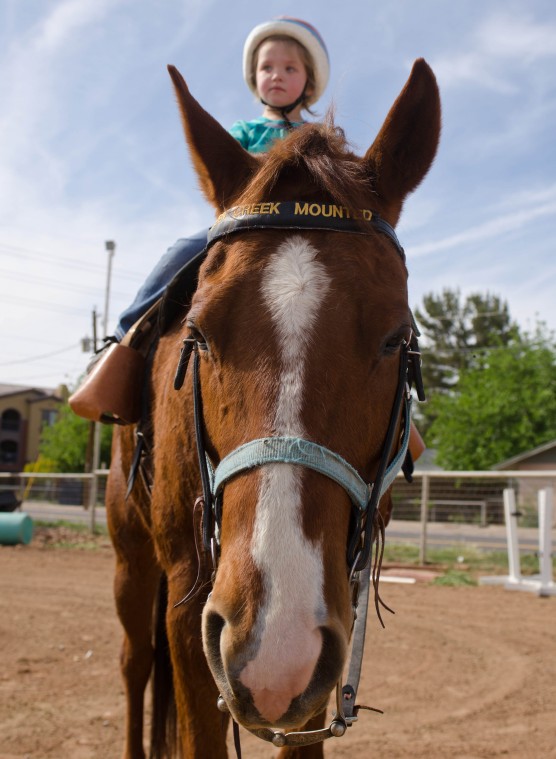 Equine Therapy