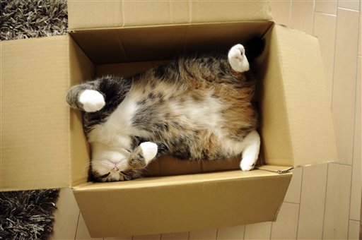 Maru