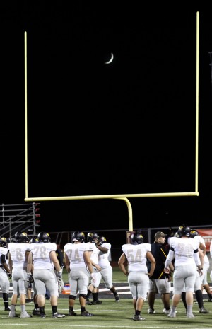 Saguaro at Chaparral