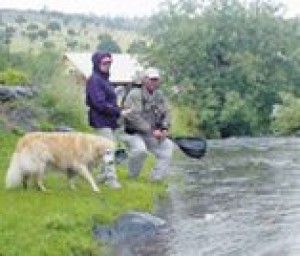 Fly-fishing casts the perfect lure 