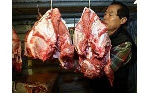 U.S. probes how cow contracted disease 