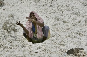 Debt woes drive thousands of farmers to suicide 