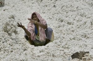 Debt woes drive thousands of farmers to suicide 