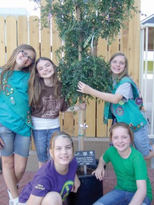 Local girl scouts donate a tree AAWL new adoption center
