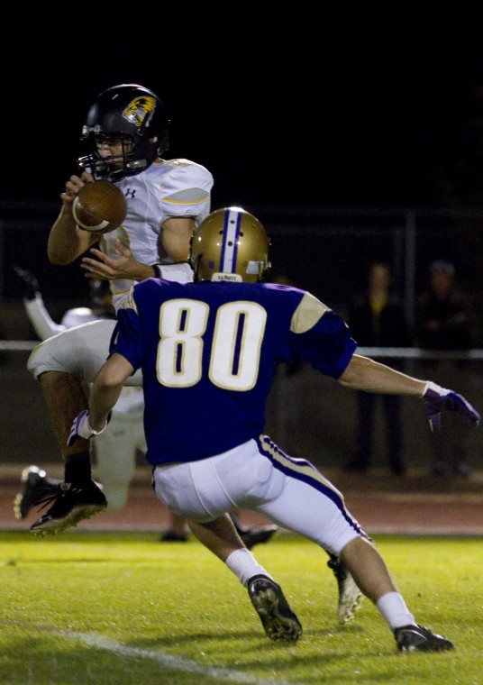 Saguaro at Queen Creek