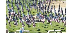 Field of flags for fallen 