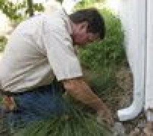 Preventive home inspection could cure a houseful of headaches 