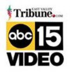 Mountain lion seen prowling A.J. area 