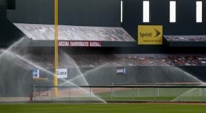 Ballpark to get new fields; cost undetermined 