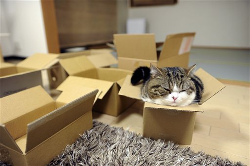 Maru