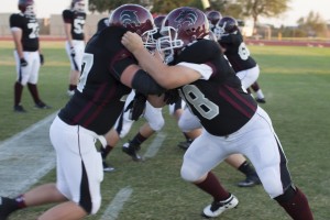 Chaparral at Desert Mountain