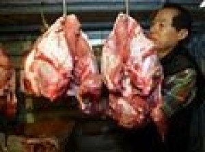 U.S. probes how cow contracted disease 