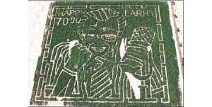 A corny birthday present 